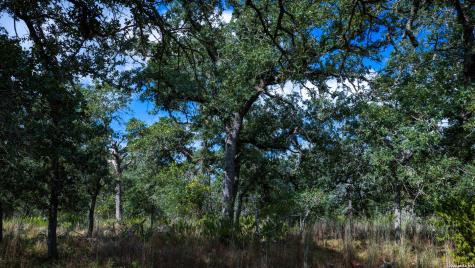 5476 County Road 427 Stockdale TX 78160