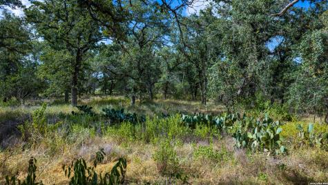 5476 County Road 427 Stockdale TX 78160