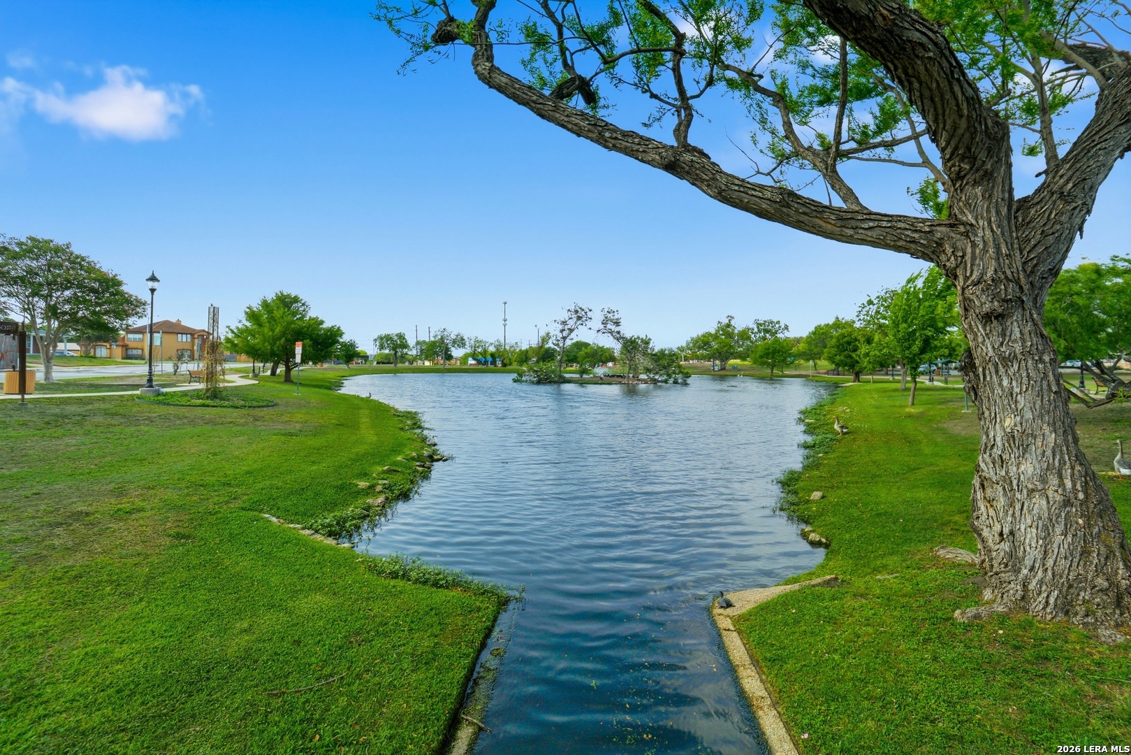 8703 Golden Windcrest TX 78239
