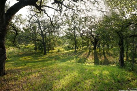 797 Glendale Road Spicewood TX 78669