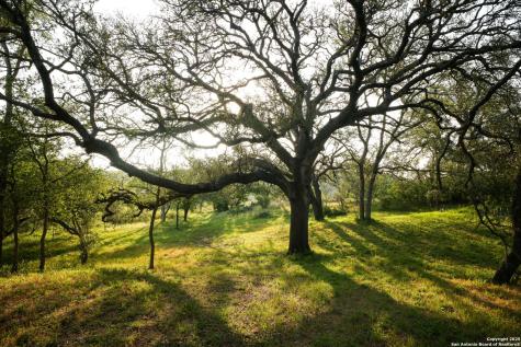 797 Glendale Road Spicewood TX 78669