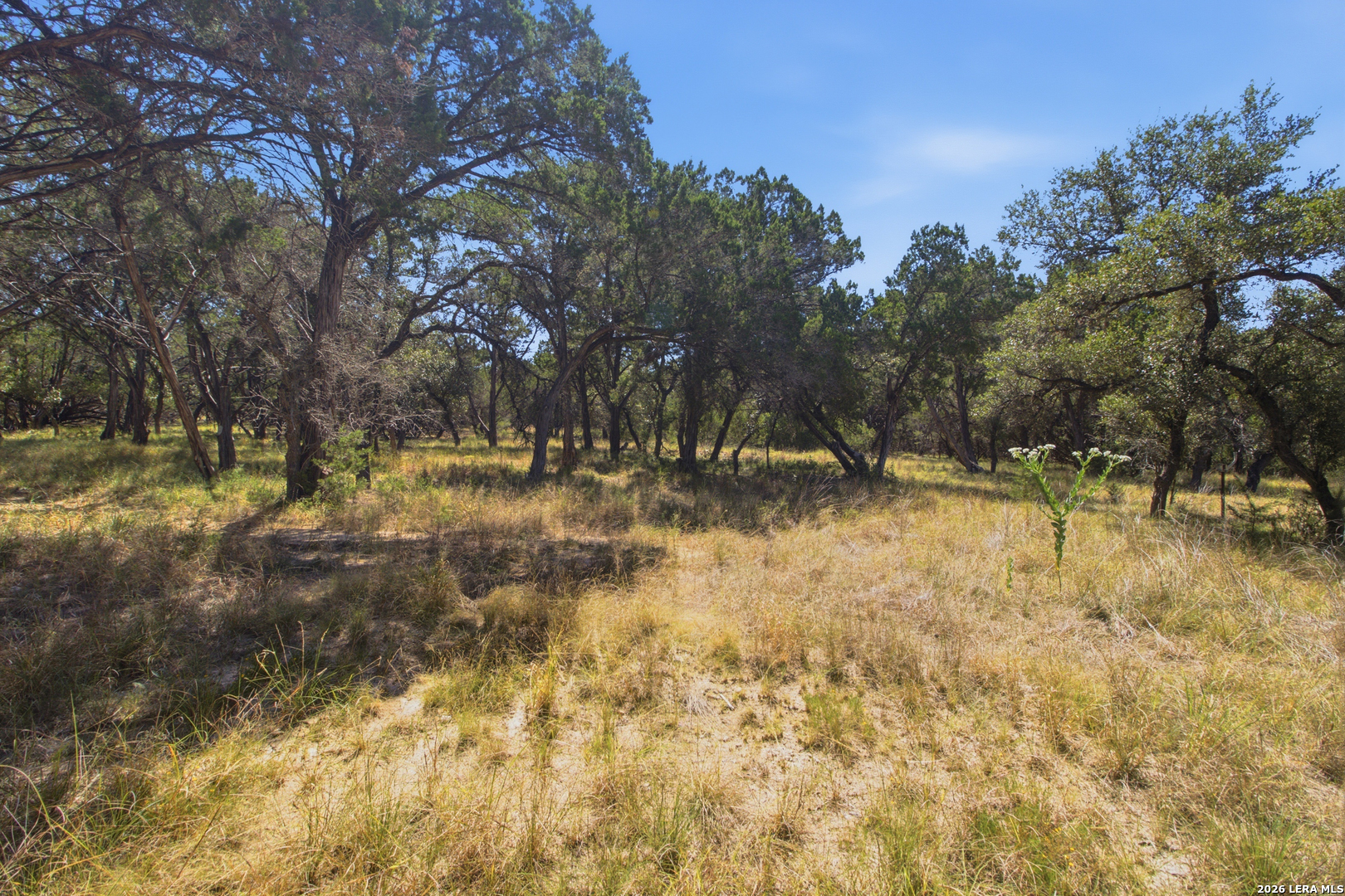 5943 Wharton's Dock Road Bandera TX 78003