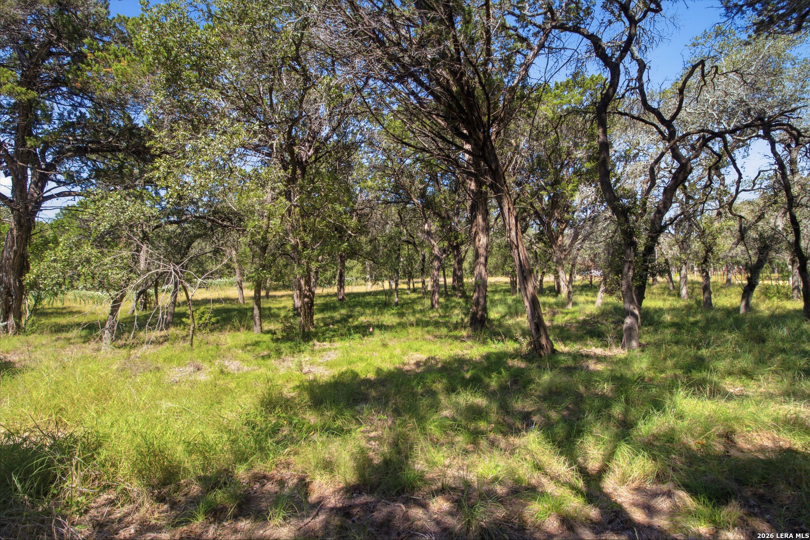5943 Wharton's Dock Road Bandera TX 78003