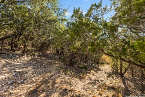 250 Misty Brook Spring Branch TX 78070