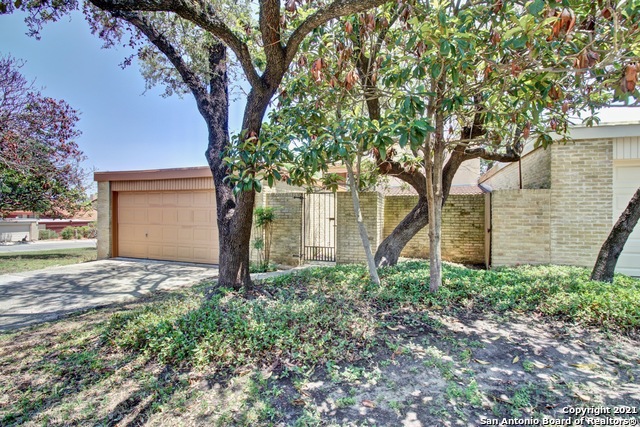 11426 Hollow Tree Street San Antonio TX 78230