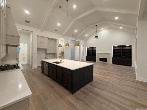 10679 Chestnut Warbler New Braunfels TX 78132