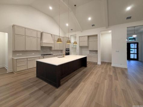 10679 Chestnut Warbler New Braunfels TX 78132