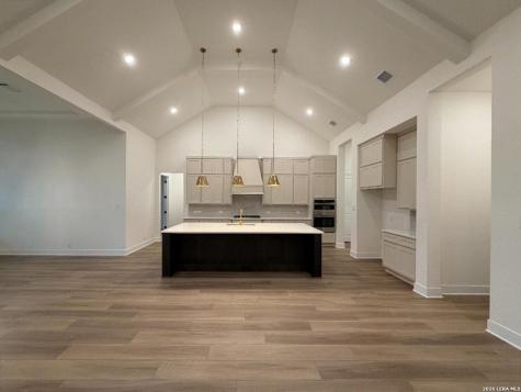 10679 Chestnut Warbler New Braunfels TX 78132