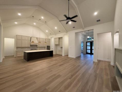 10679 Chestnut Warbler New Braunfels TX 78132