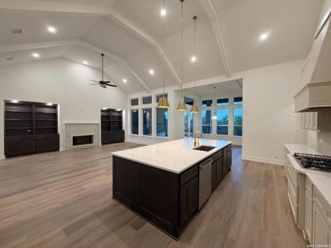 10679 Chestnut Warbler New Braunfels TX 78132