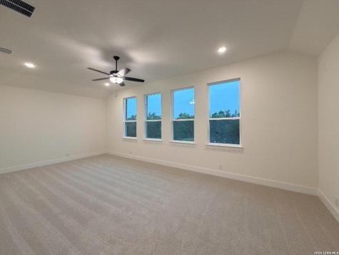 10679 Chestnut Warbler New Braunfels TX 78132
