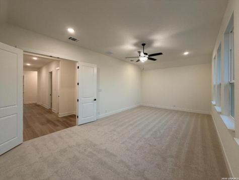 10679 Chestnut Warbler New Braunfels TX 78132