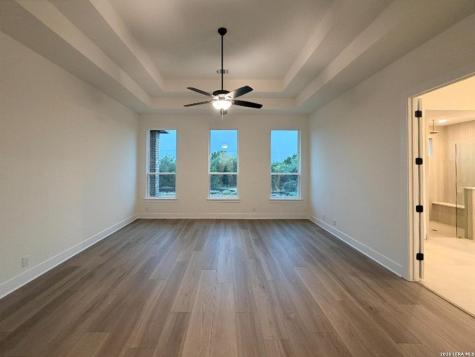 10679 Chestnut Warbler New Braunfels TX 78132