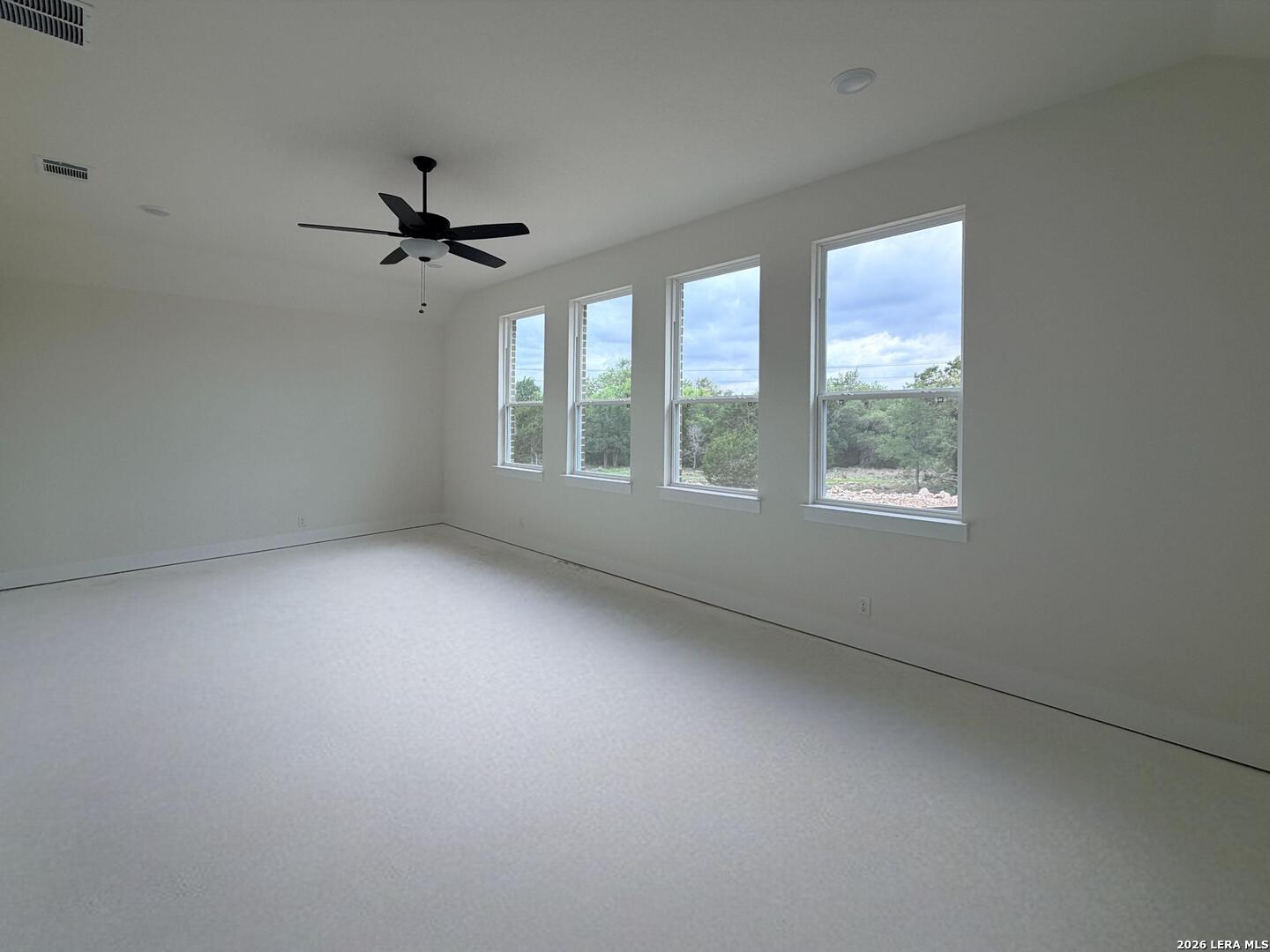 10679 Chestnut Warbler New Braunfels TX 78132