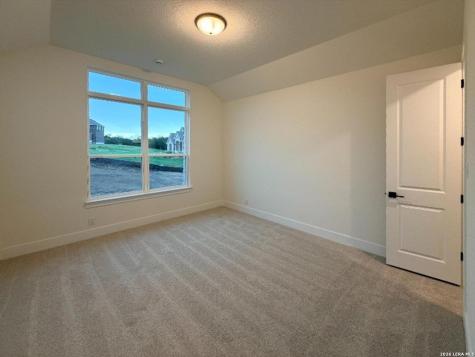 10679 Chestnut Warbler New Braunfels TX 78132
