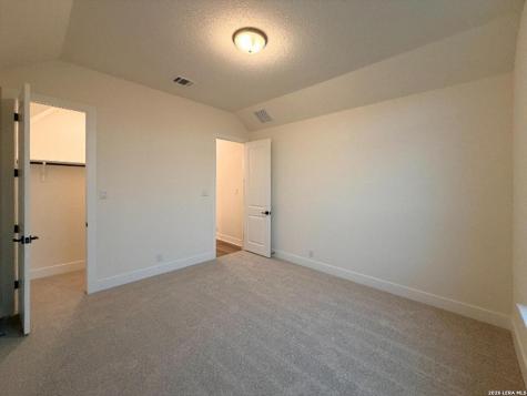 10679 Chestnut Warbler New Braunfels TX 78132