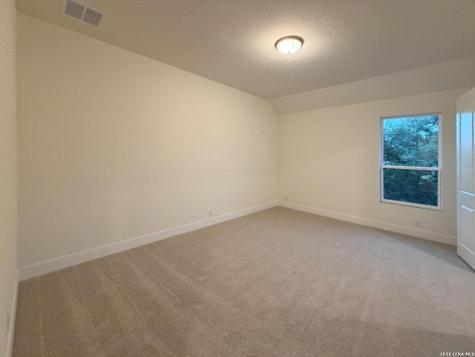 10679 Chestnut Warbler New Braunfels TX 78132