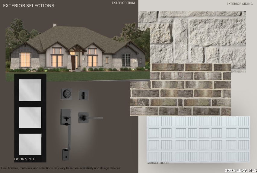 10679 Chestnut Warbler New Braunfels TX 78132