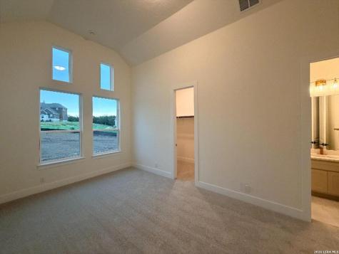 10679 Chestnut Warbler New Braunfels TX 78132