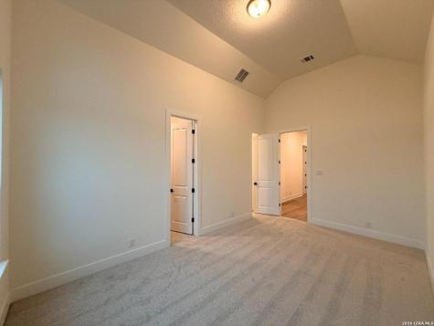 10679 Chestnut Warbler New Braunfels TX 78132