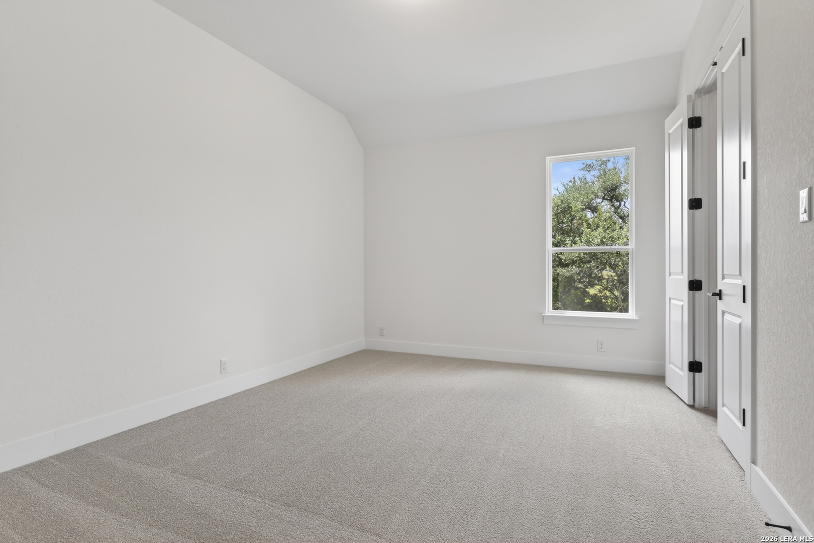 10679 Chestnut Warbler New Braunfels TX 78132
