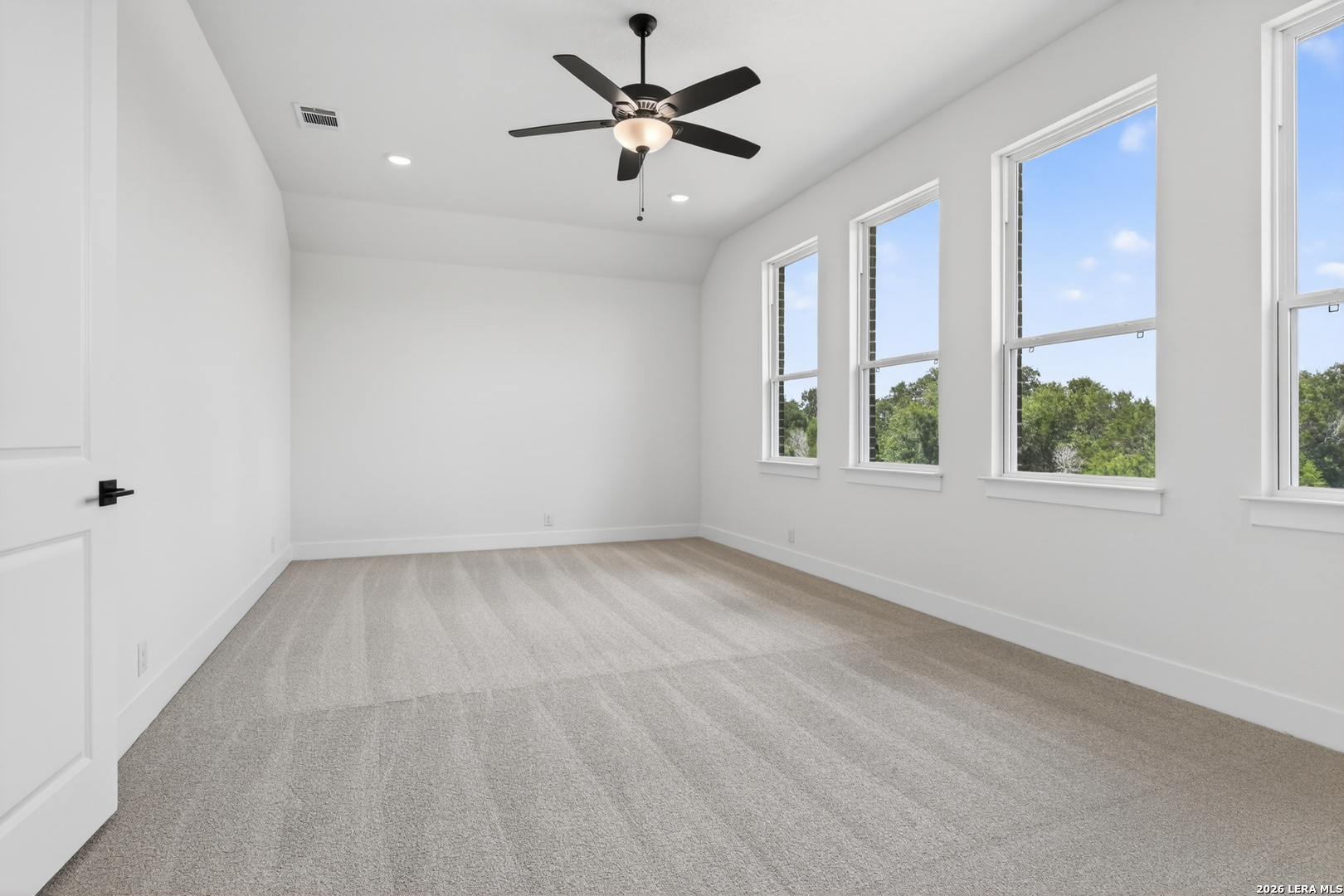 10679 Chestnut Warbler New Braunfels TX 78132