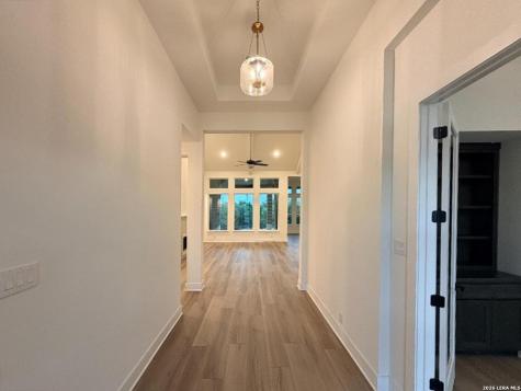 10679 Chestnut Warbler New Braunfels TX 78132