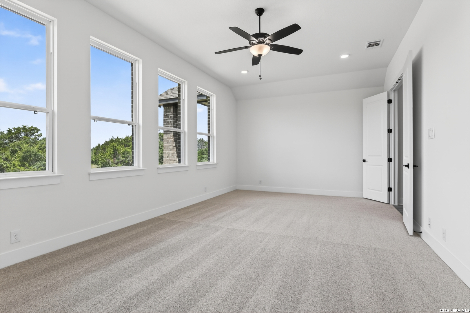10679 Chestnut Warbler New Braunfels TX 78132