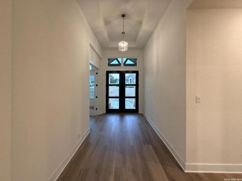 10679 Chestnut Warbler New Braunfels TX 78132