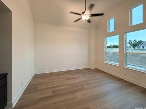 10679 Chestnut Warbler New Braunfels TX 78132