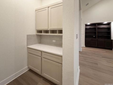 10679 Chestnut Warbler New Braunfels TX 78132