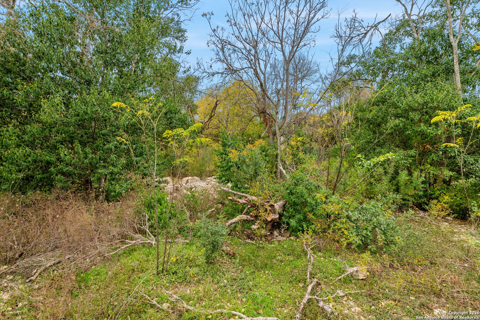 8222 Country Lane Court San Antonio TX 78209