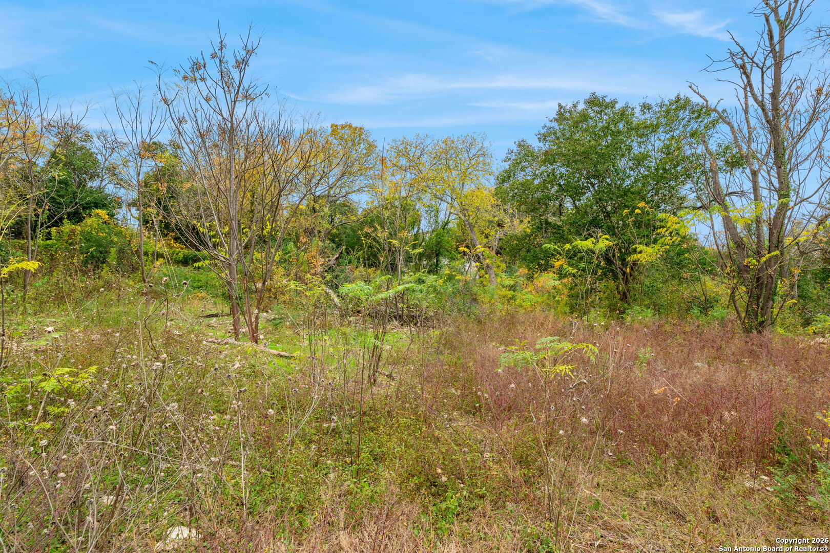8222 Country Lane Court San Antonio TX 78209