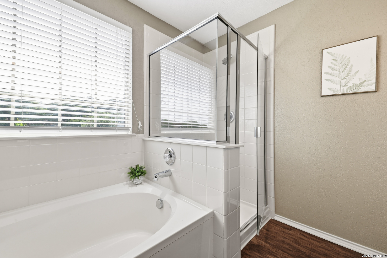 20811 Cape Coral San Antonio TX 78259