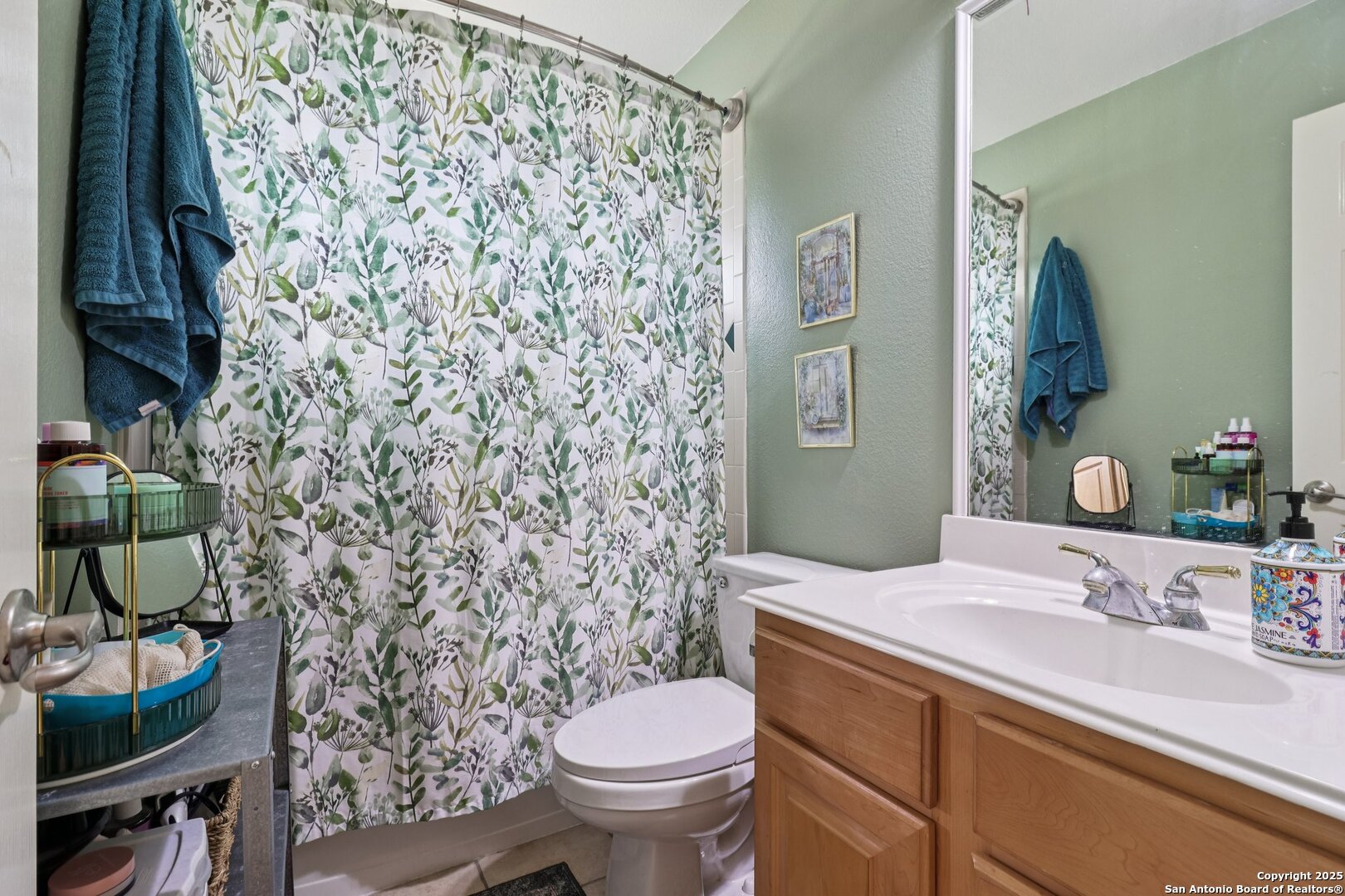 407 Mesa Canyon San Antonio TX 78258