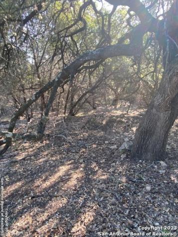 Tbd Tbd Canyon Lake TX 78133