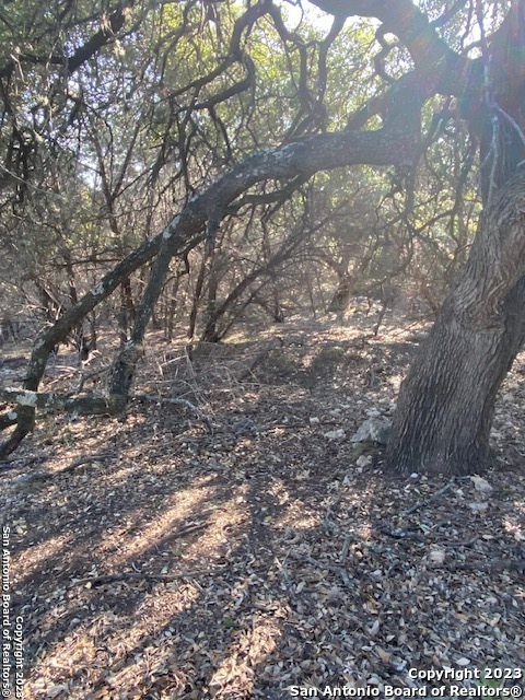 Tbd Tbd Canyon Lake TX 78133