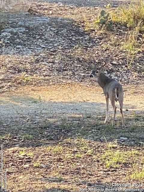 Tbd Tbd Canyon Lake TX 78133