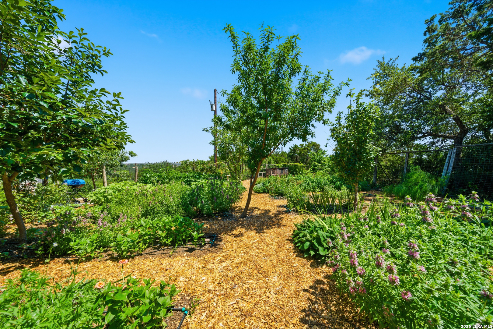 10042 Rafter S Trail Helotes TX 78023