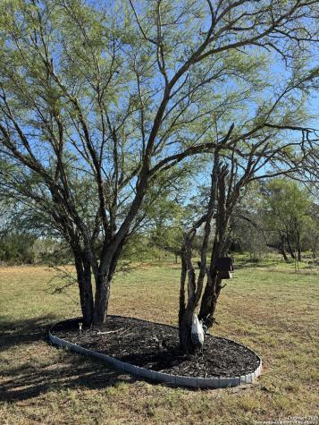 340 Mourning Dove Floresville TX 78114