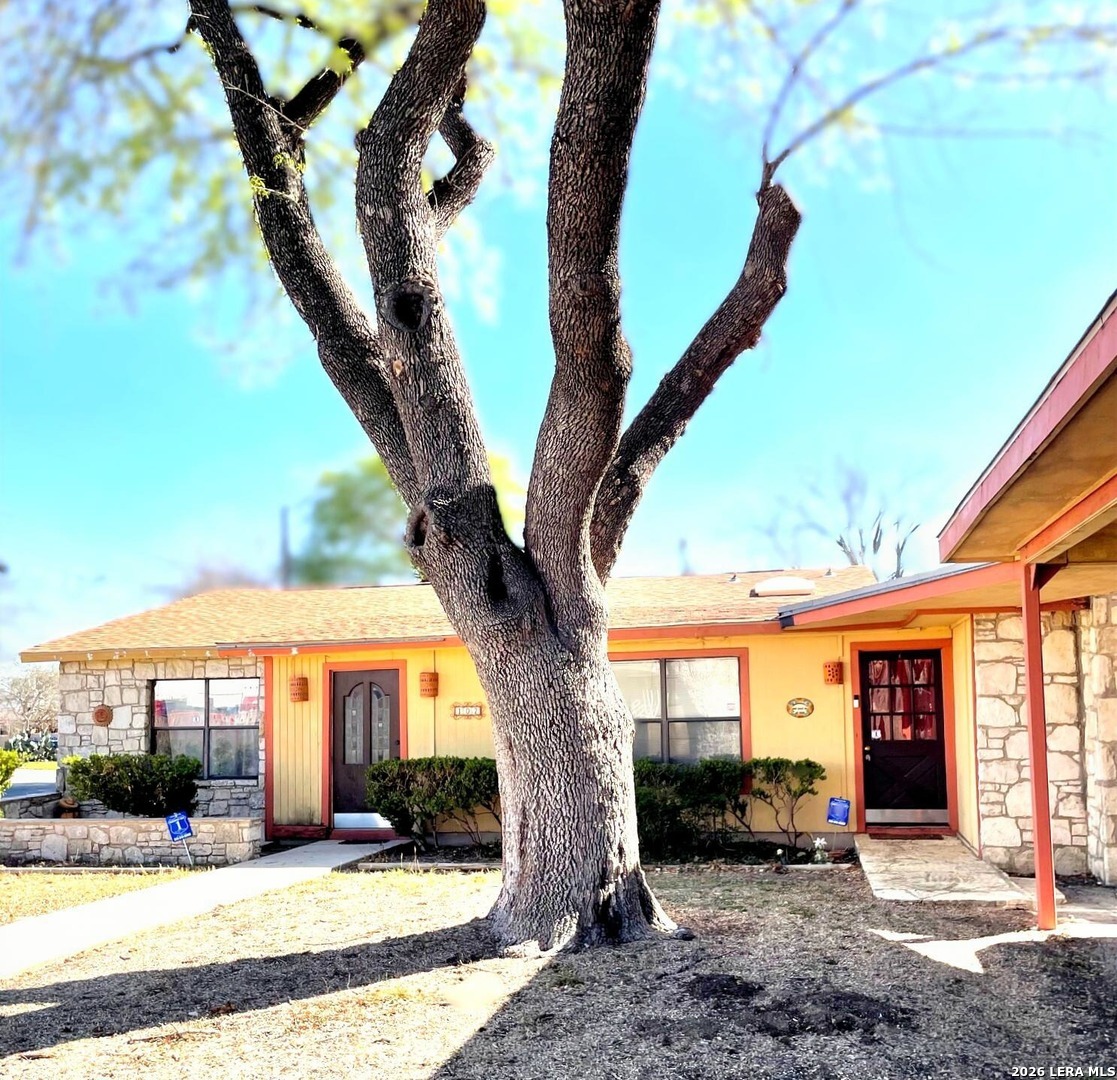102 Audrey Alene Drive San Antonio TX 78216