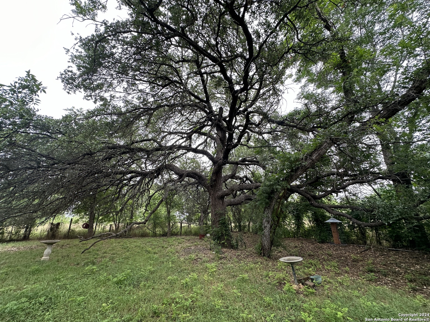 765 County Road 6713 Natalia TX 78059