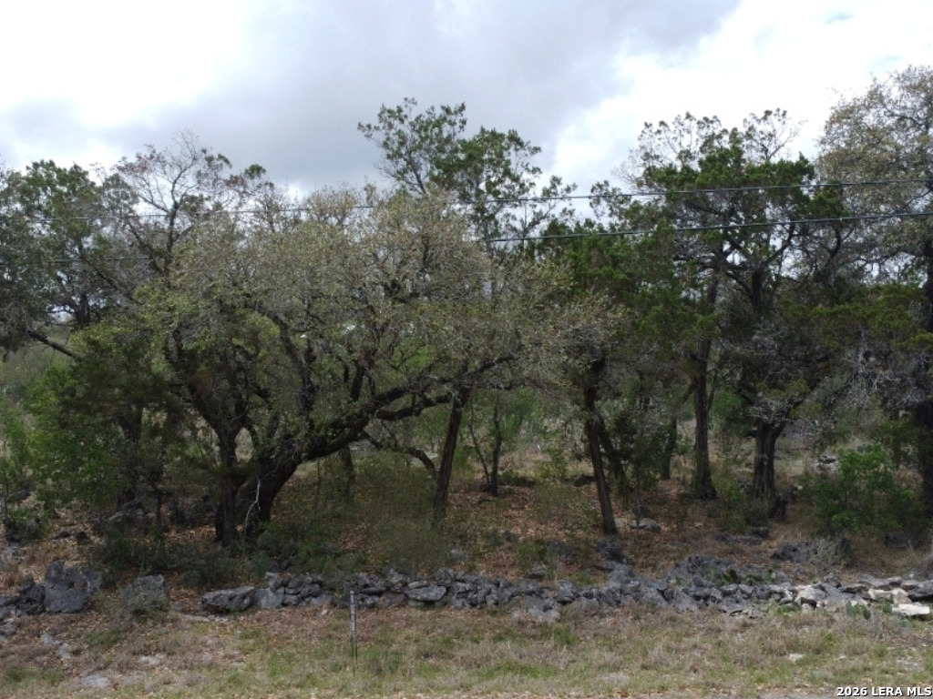0 Tbd Spring Branch TX 78070