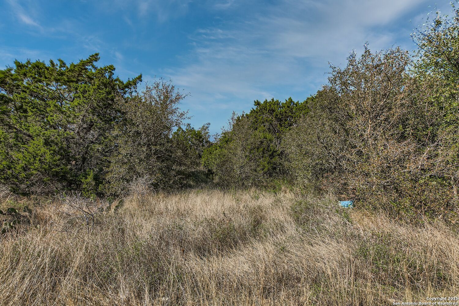 Lot 229 Cr 2748 Mico TX 78056