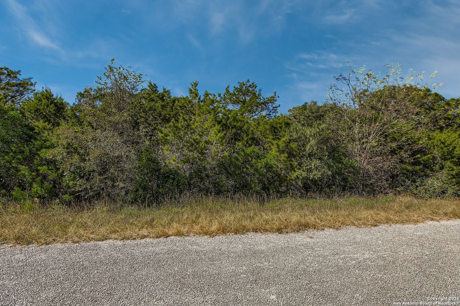 Lot 229 Cr 2748 Mico TX 78056