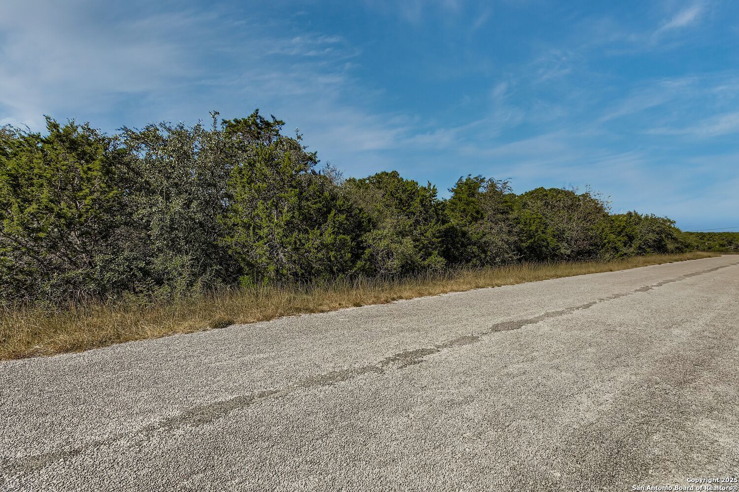 Lot 229 Cr 2748 Mico TX 78056