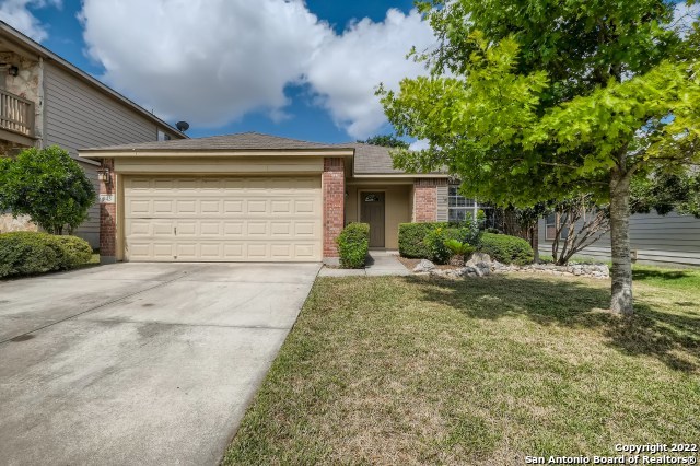 943 Magnolia Summit San Antonio TX 78251