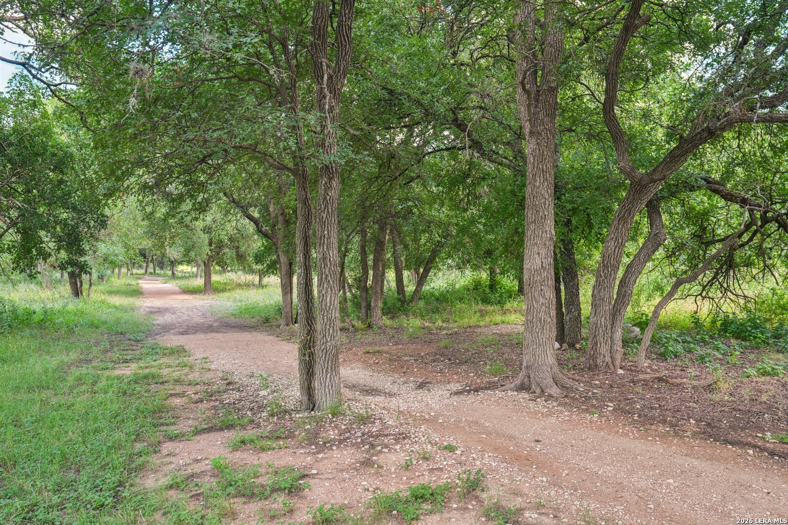 12502 Hillside Ranch San Antonio TX 78254