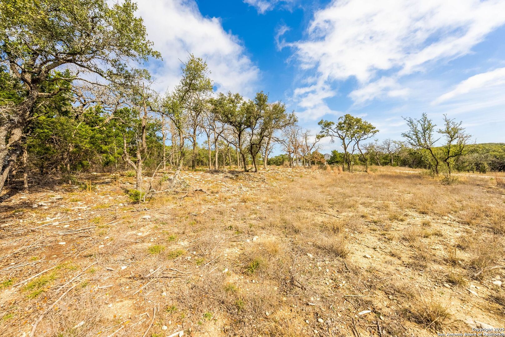 640 Annabelle Avenue Bulverde TX 78163