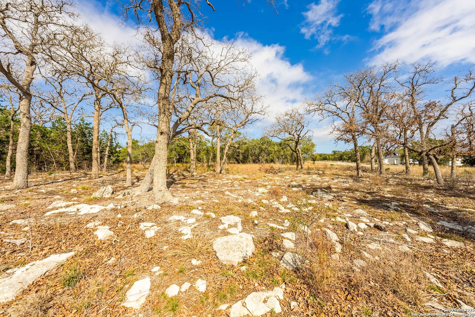 640 Annabelle Avenue Bulverde TX 78163